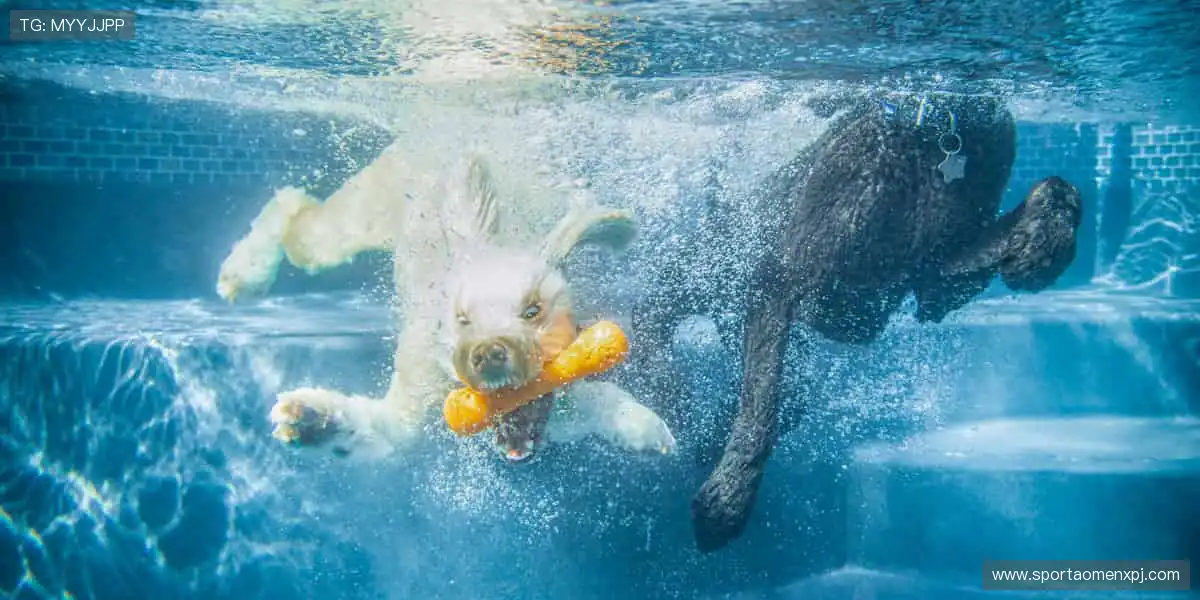 一键开启赛事狂欢!📱